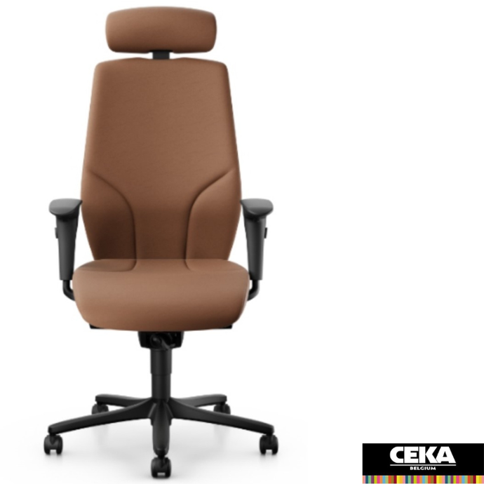 Fauteuil de direction Giroflex 64 appui-tête accoudoirs ajustable 4D