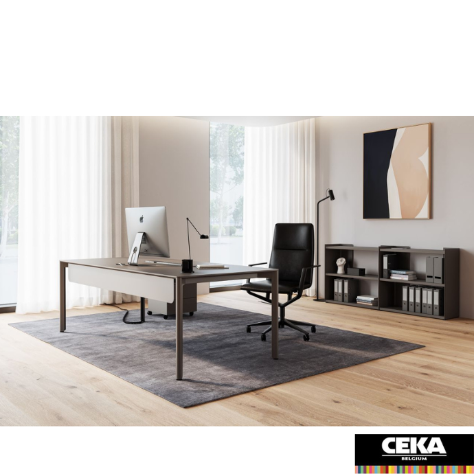 bureau direction slide renz fenix placage