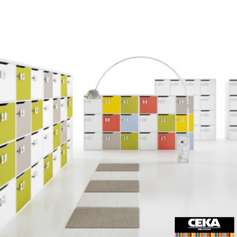 Casiers de rangement et lockers à verrous personnalisable fermeture à clé couleurs