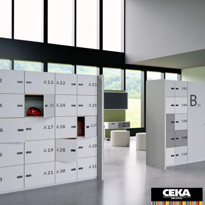 Casiers de rangement et lockers à verrous individuel personnalisable fermeture à clés
