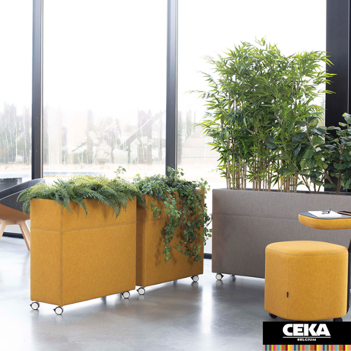 plant divider gotessons