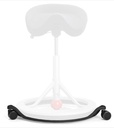 Back App Smart 2.0